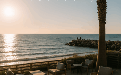 Présentation de Teo Advisory