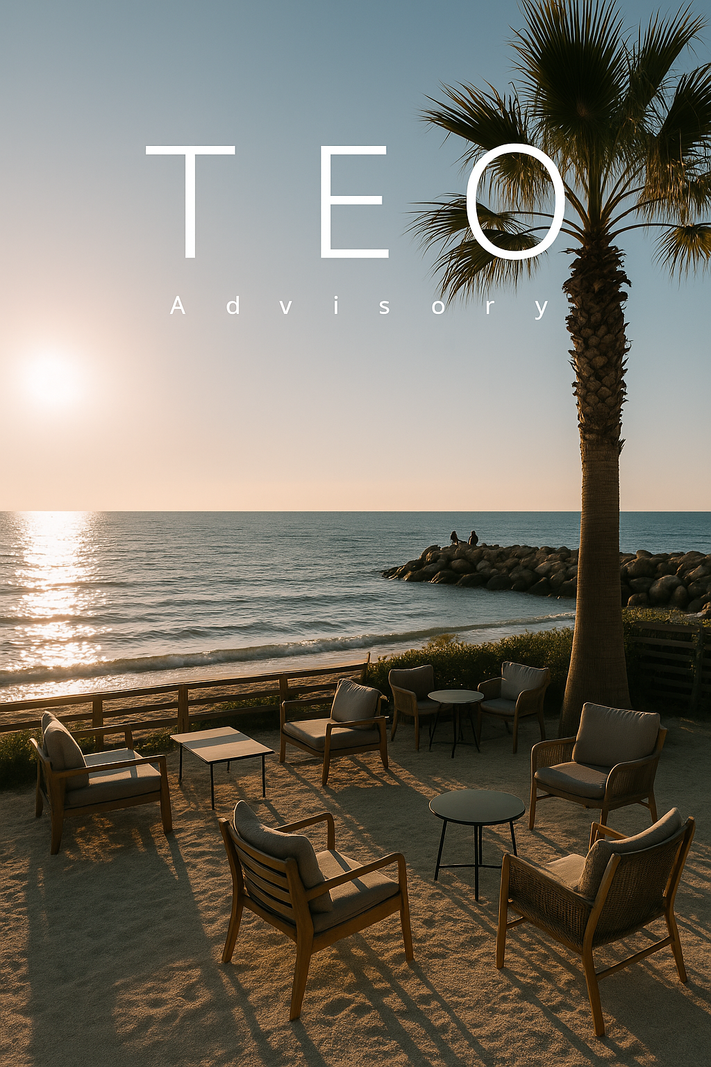 Présentation de Teo Advisory