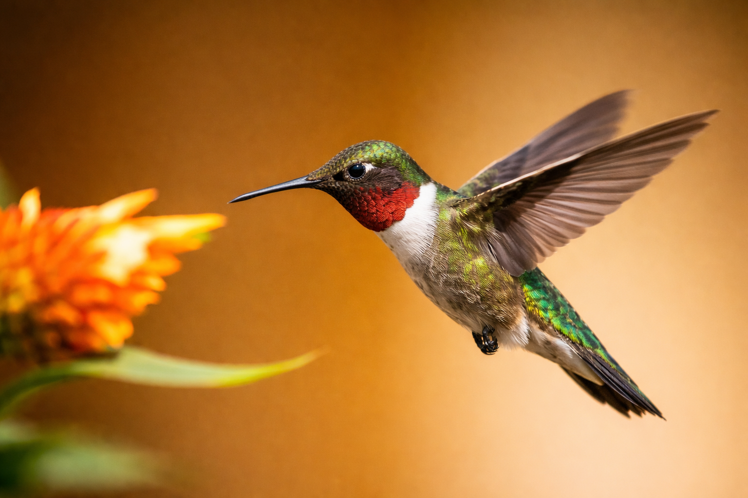 Comment trouver et réussir le recrutement de votre profil de haut niveau par la chasse de tête à Montpellier